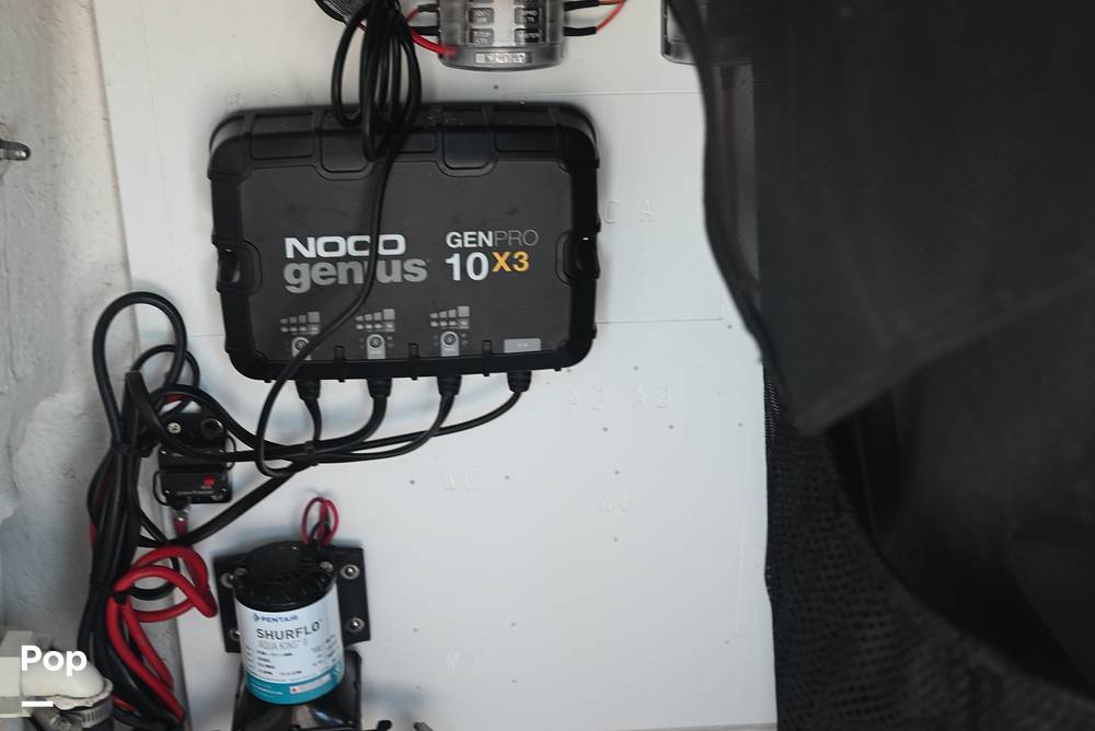 Slide: The Image of Sportsman Masters 227 2020 - 15355798