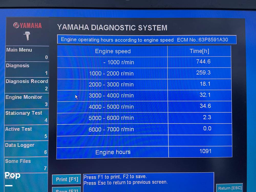 Slide: The Image of Stamas 250 Tarpon 2005 - 15493883
