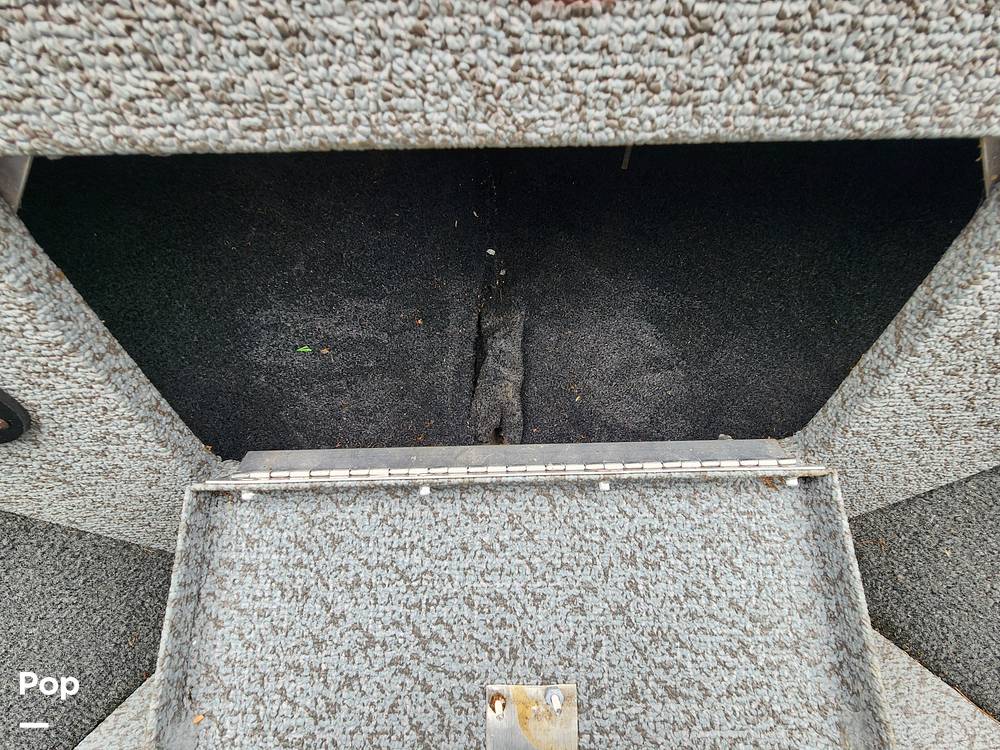 Slide: The Image of Starcraft Fishmaster 196 2019 - 15474841