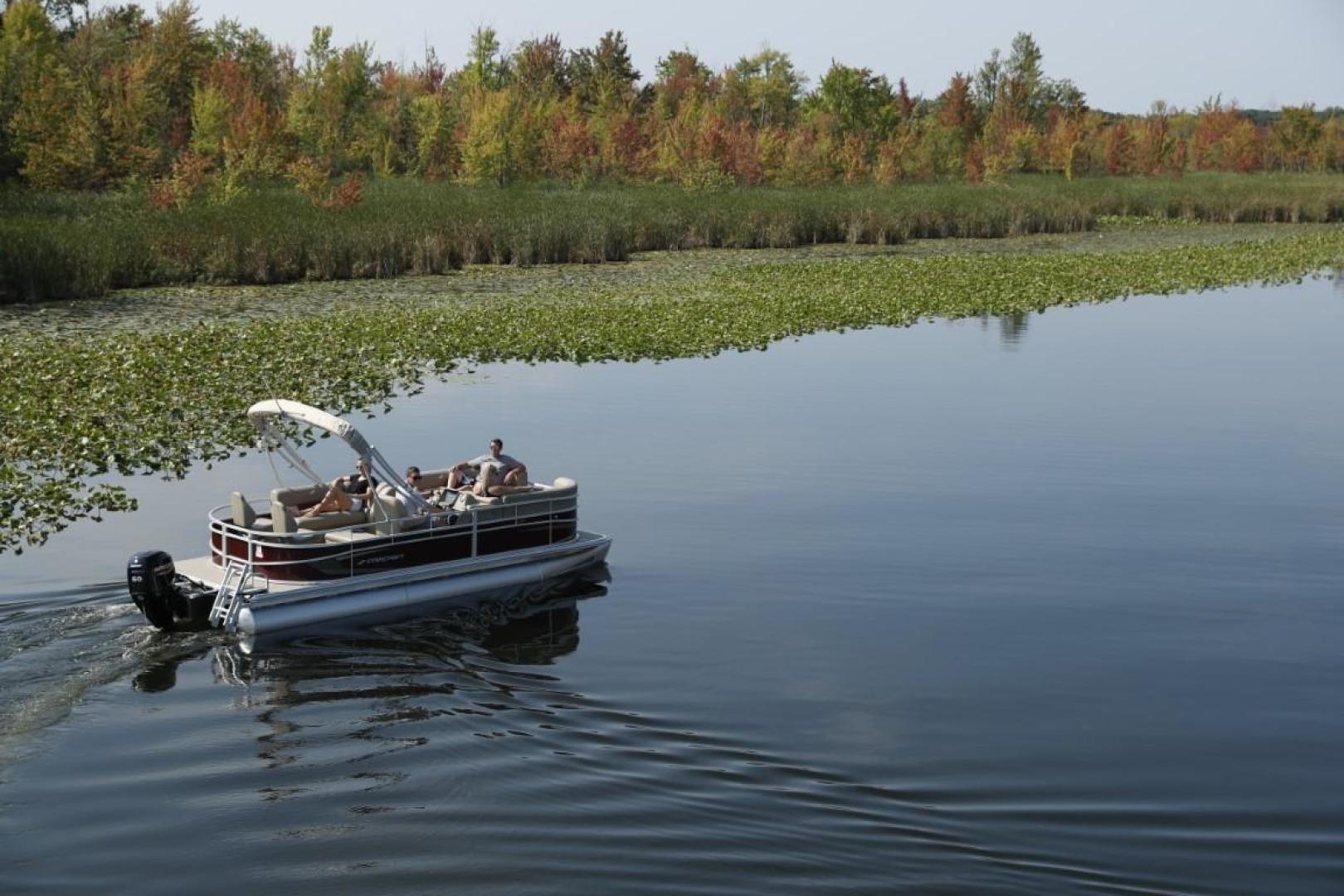 Slide: The Image of Starcraft LX 20 F 2023 - 3456962