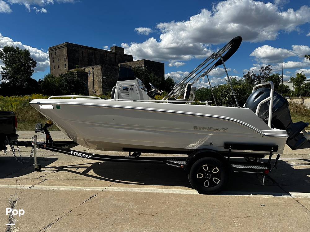 Slide: The Image of Stingray 173 CC 2024 - 14996343