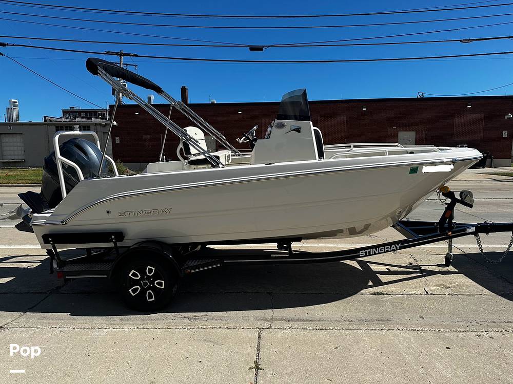 Slide: The Image of Stingray 173 CC 2024 - 14996342