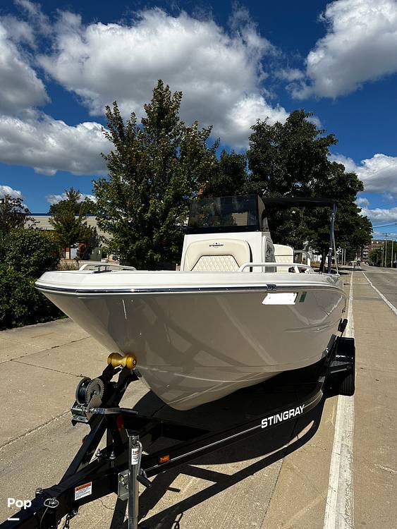 Slide: The Image of Stingray 173 CC 2024 - 14996344
