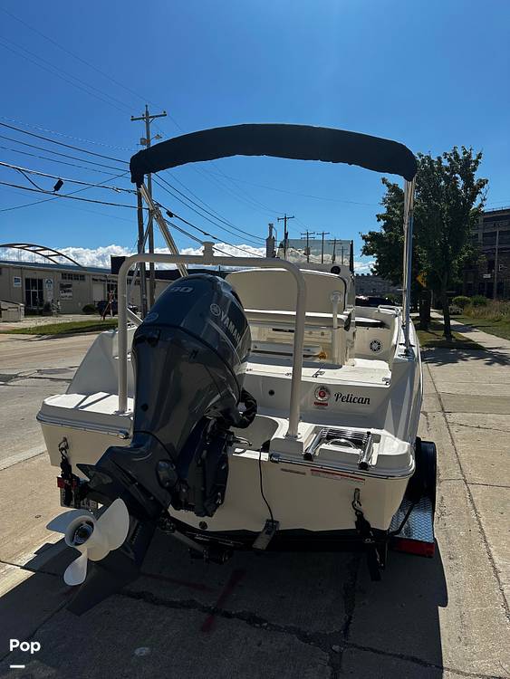 Slide: The Image of Stingray 173 CC 2024 - 14859822
