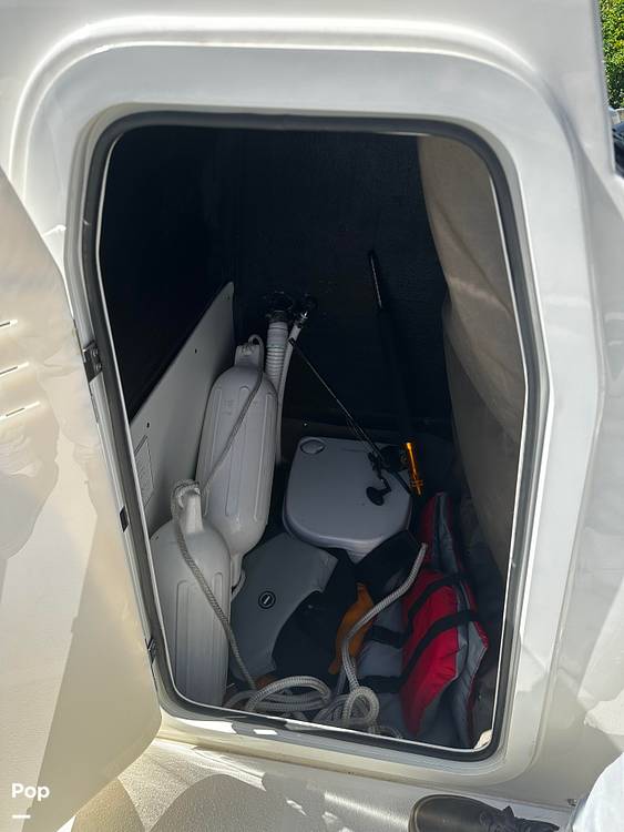 Slide: The Image of Stingray 173 CC 2024 - 14859818