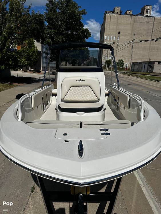 Slide: The Image of Stingray 173 CC 2024 - 14859820