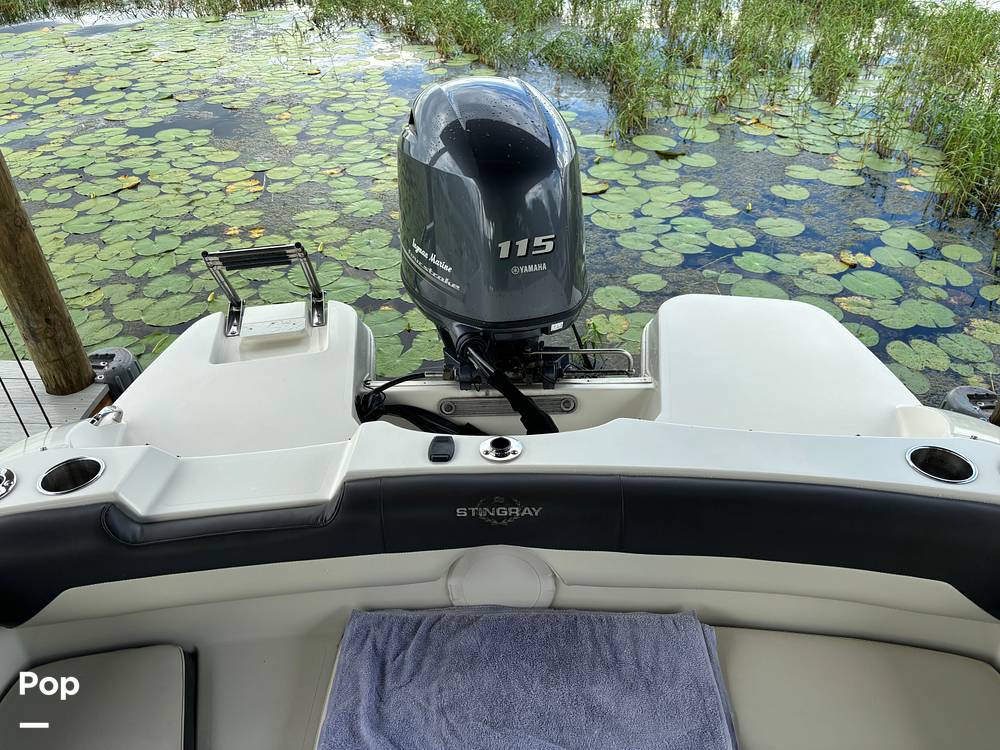 Slide: The Image of Stingray 191 2017 - 14505996