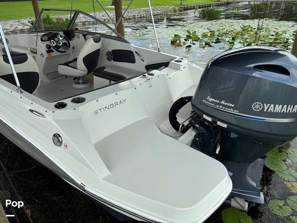 Slide: The Image of Stingray 191 2017 - 14506010