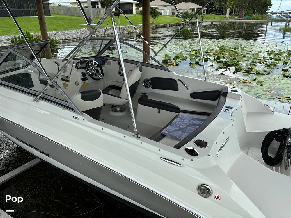 Slide: The Image of Stingray 191 2017 - 14506013