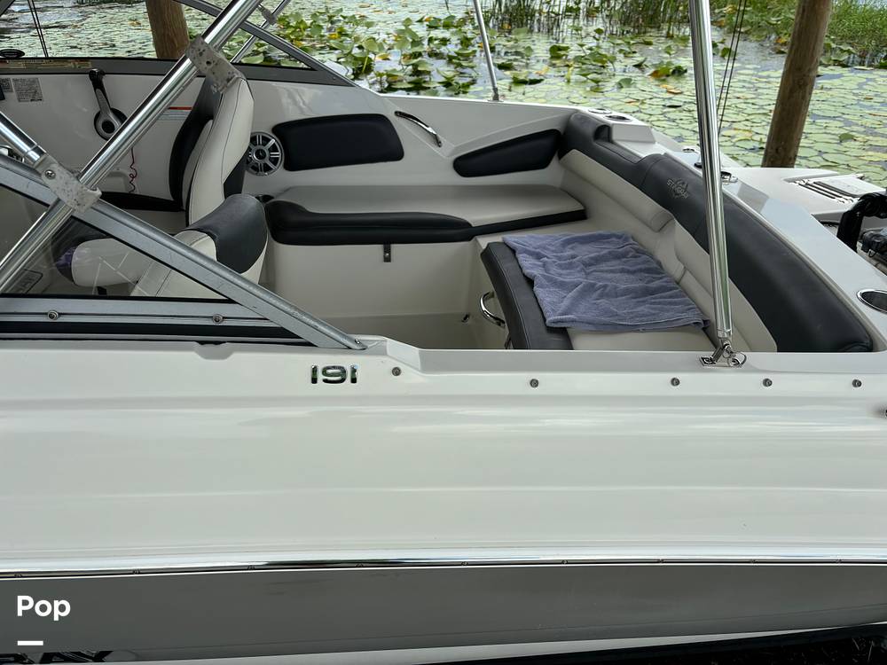 Slide: The Image of Stingray 191 2017 - 14506035
