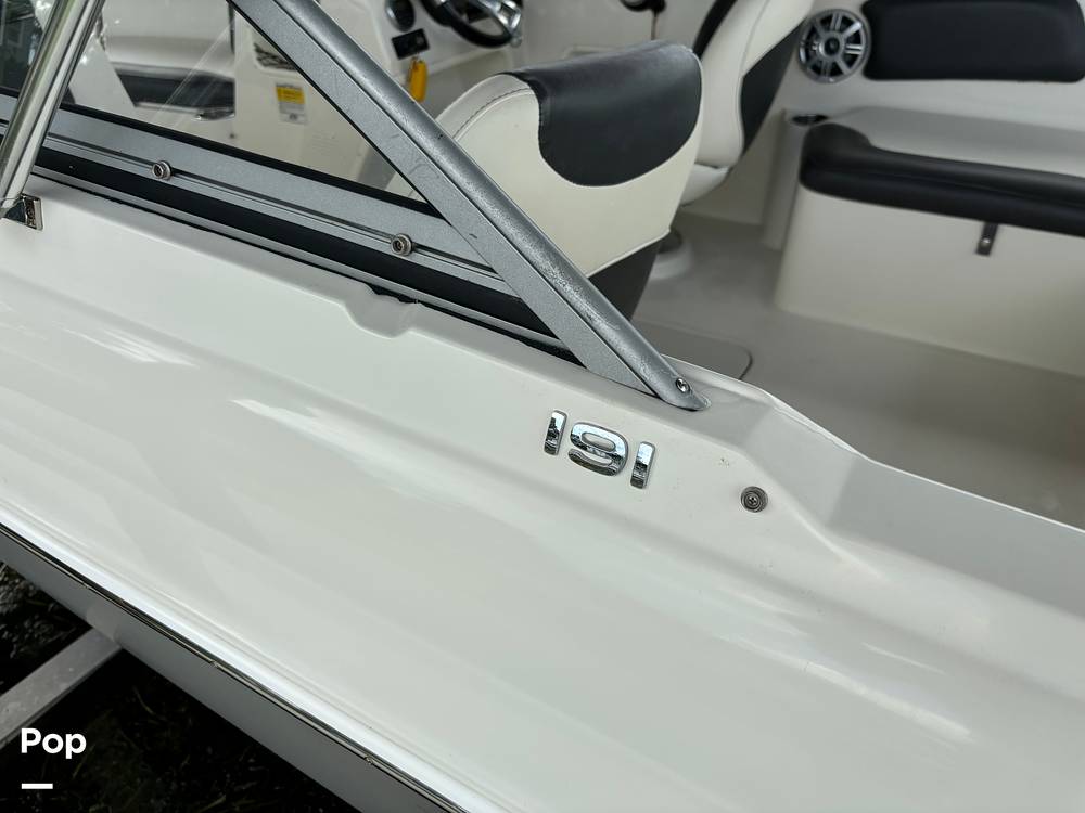 Slide: The Image of Stingray 191 2017 - 14506037