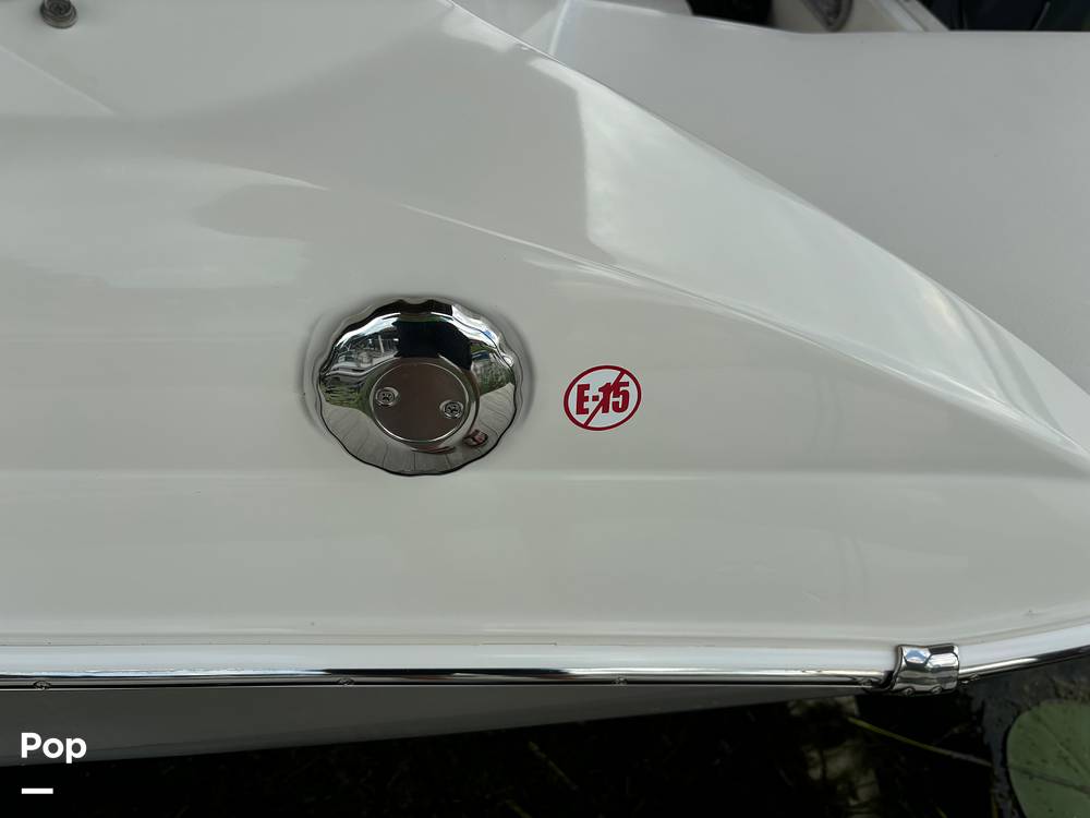 Slide: The Image of Stingray 191 2017 - 14506038