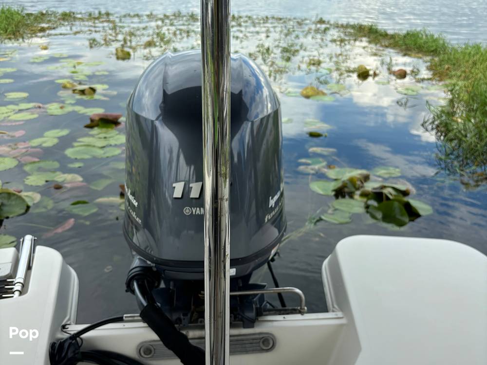 Slide: The Image of Stingray 191 2017 - 14506054
