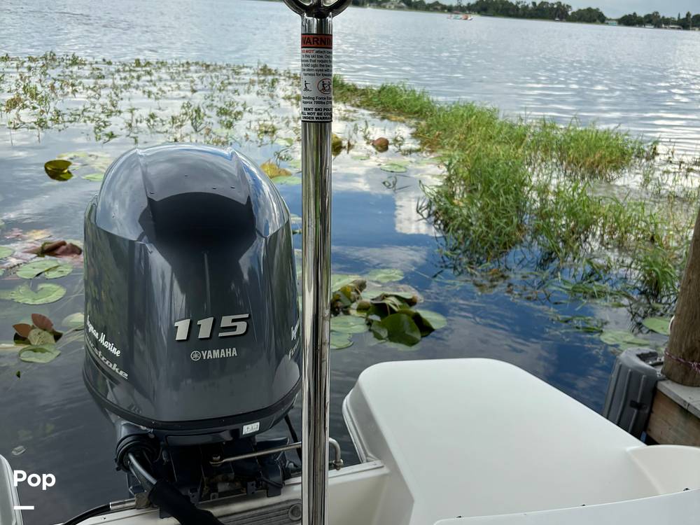 Slide: The Image of Stingray 191 2017 - 14506055