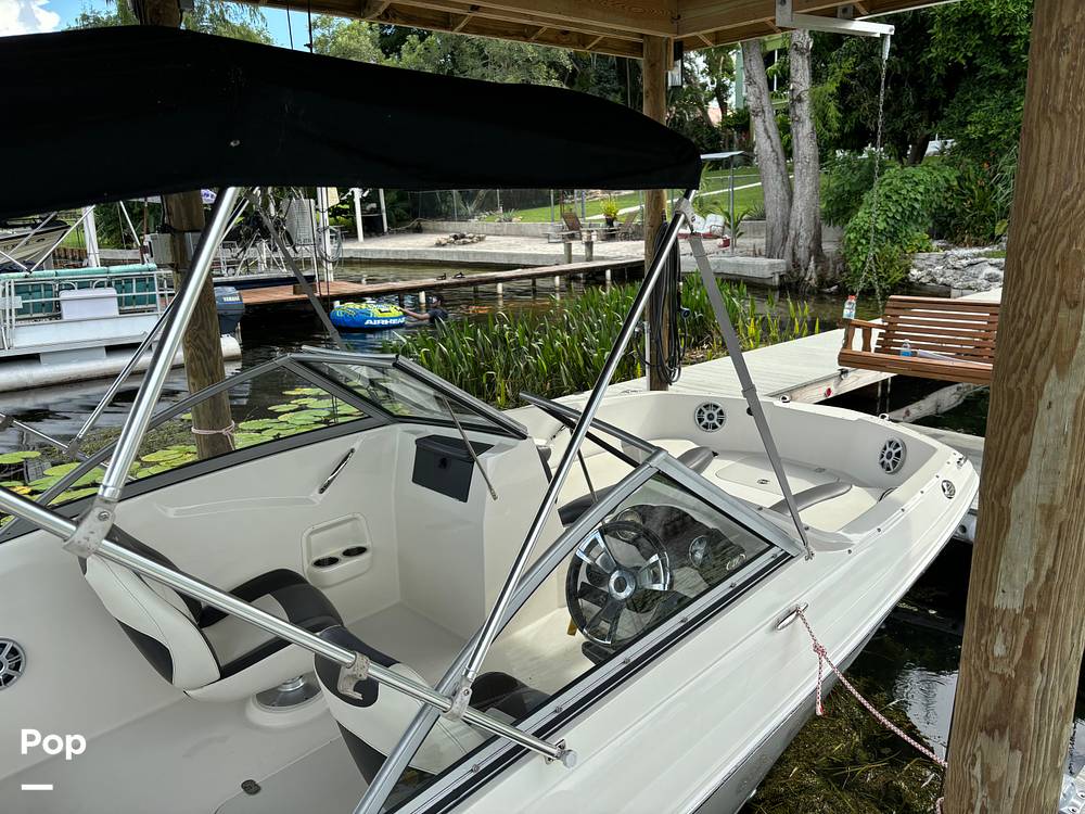 Slide: The Image of Stingray 191 2017 - 14506058