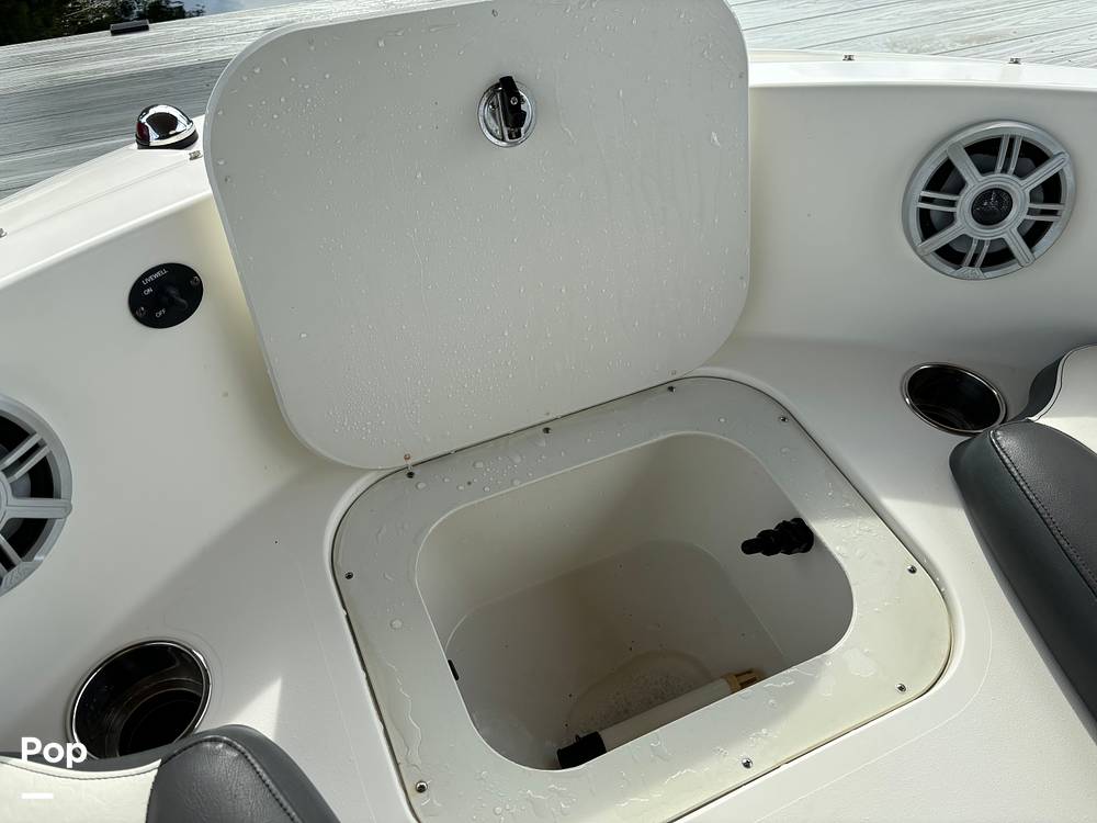 Slide: The Image of Stingray 191 2017 - 14506061