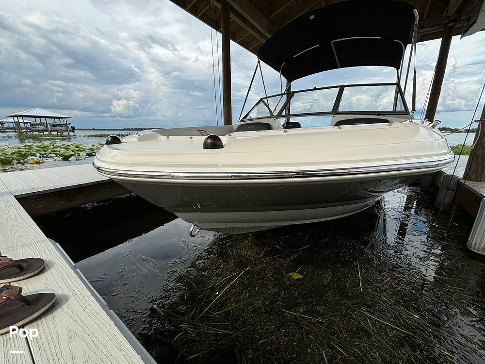 Slide: The Image of Stingray 191 2017 - 14506067