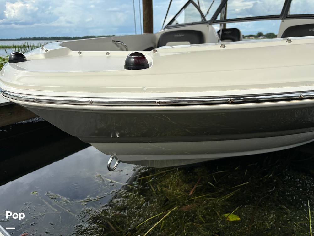 Slide: The Image of Stingray 191 2017 - 14506068
