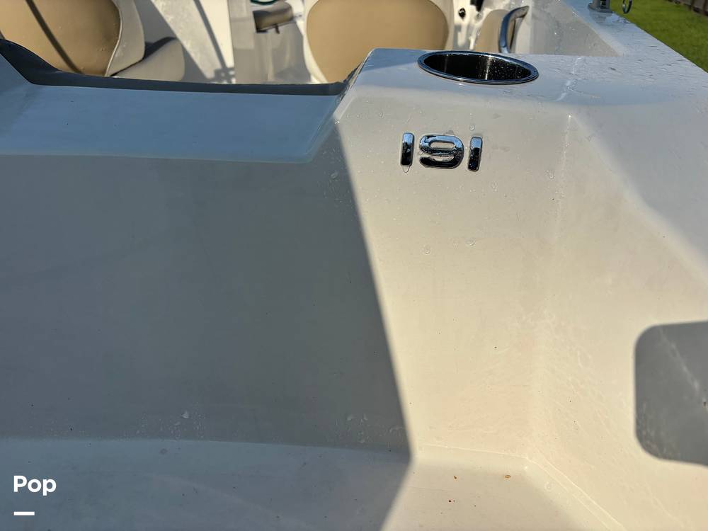 Slide: The Image of Stingray 191DC 2017 - 15598486