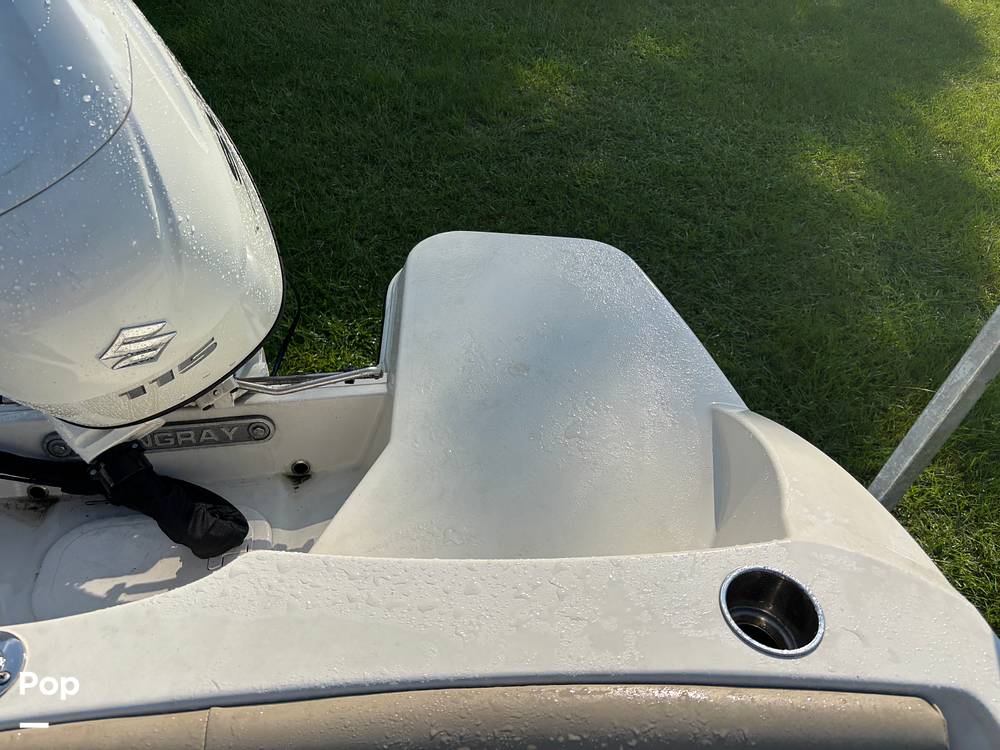 Slide: The Image of Stingray 191DC 2017 - 15598493