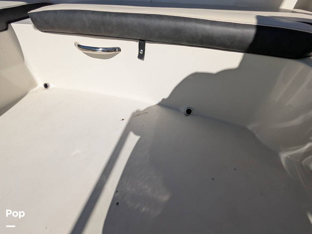Slide: The Image of Stingray 191DC 2023 - 15110140