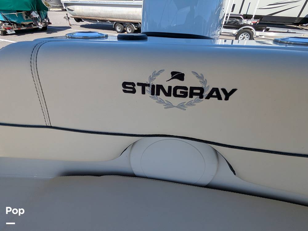 Slide: The Image of Stingray 191DC 2023 - 15110141