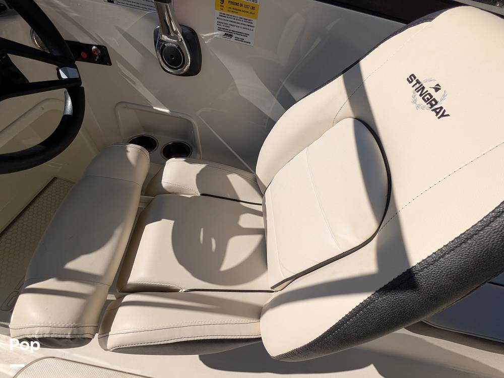 Slide: The Image of Stingray 191DC 2023 - 15110144