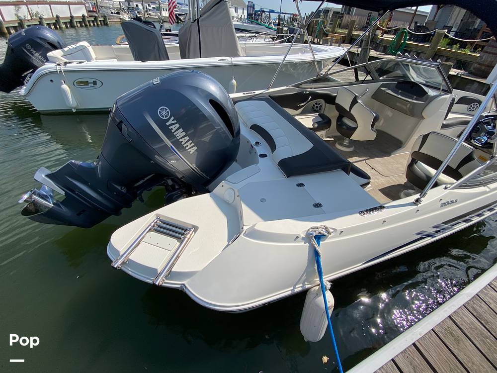 Slide: The Image of Stingray 204 LR 2018 - 13086769