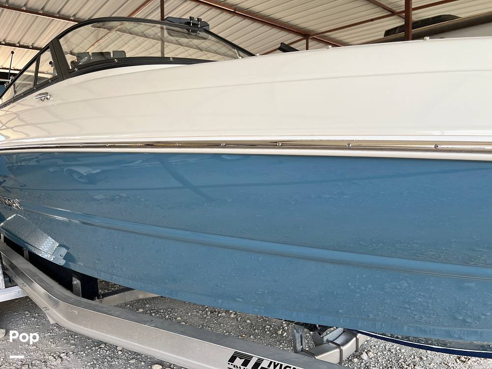 Slide: The Image of Stingray 204LR 2021 - 15464128