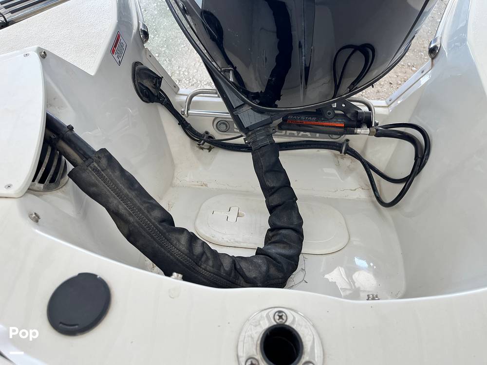 Slide: The Image of Stingray 204LR 2021 - 15464147