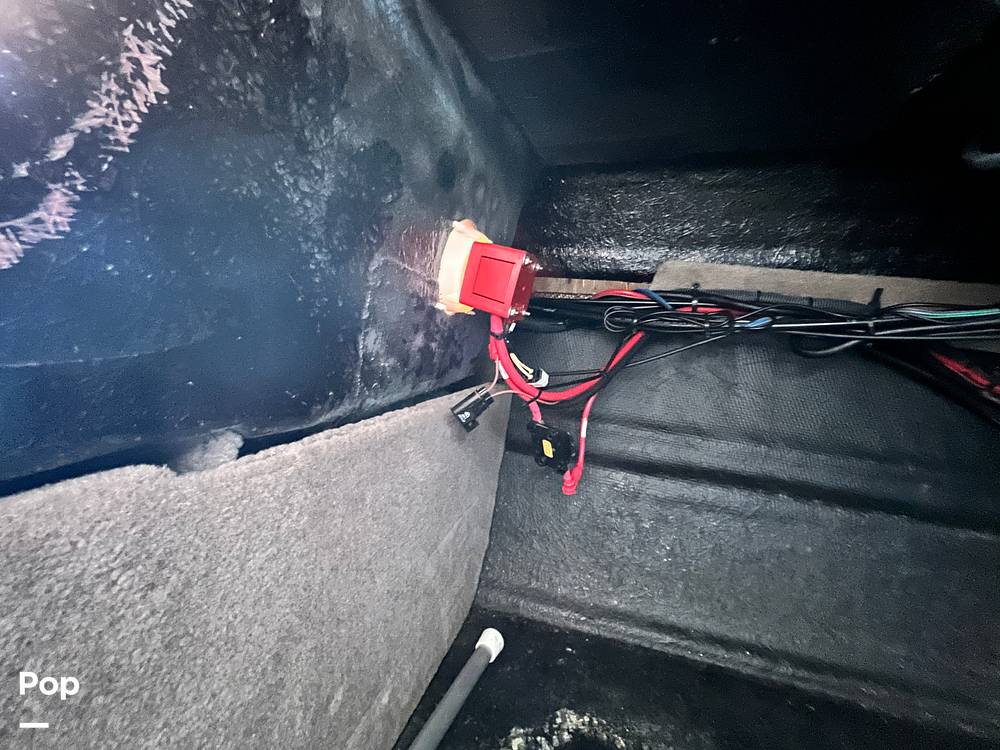 Slide: The Image of Stingray 204LR 2021 - 15464151