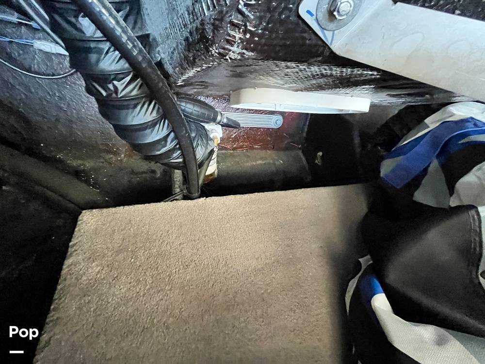 Slide: The Image of Stingray 204LR 2021 - 15464152