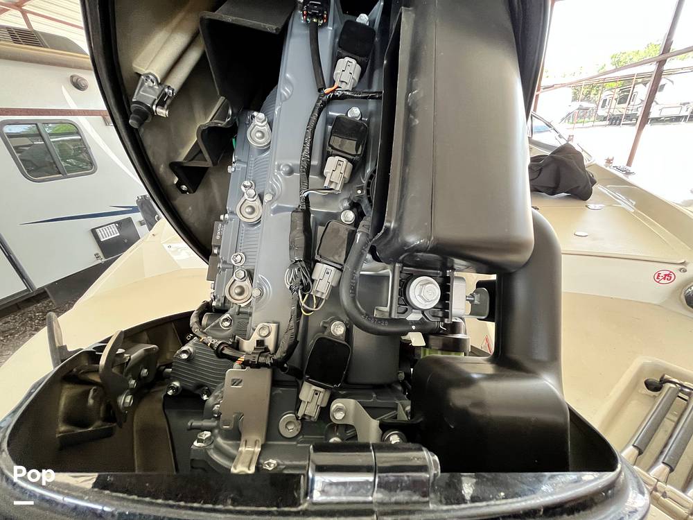 Slide: The Image of Stingray 204LR 2021 - 15464213