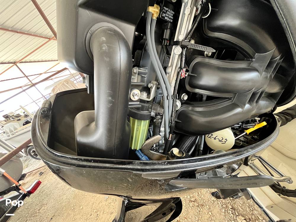 Slide: The Image of Stingray 204LR 2021 - 15464214