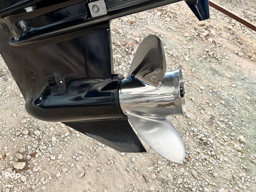 Slide: The Image of Stingray 204LR 2021 - 15464219