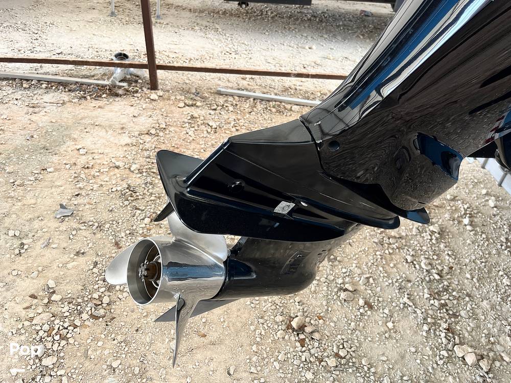 Slide: The Image of Stingray 204LR 2021 - 15464220