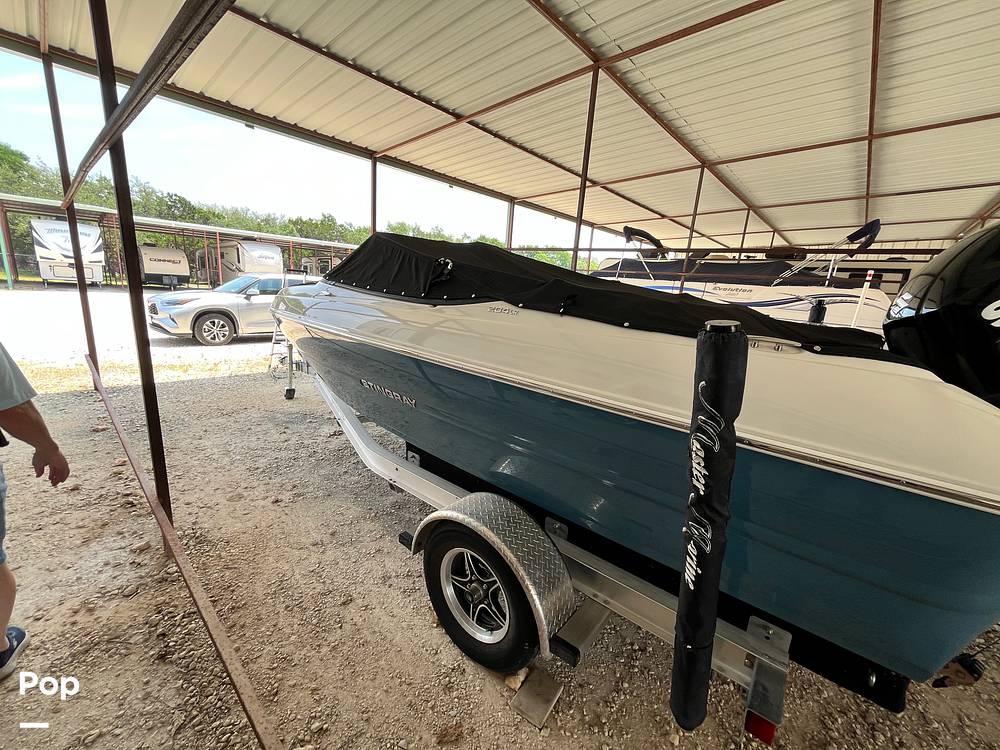 Slide: The Image of Stingray 204LR 2021 - 15464247