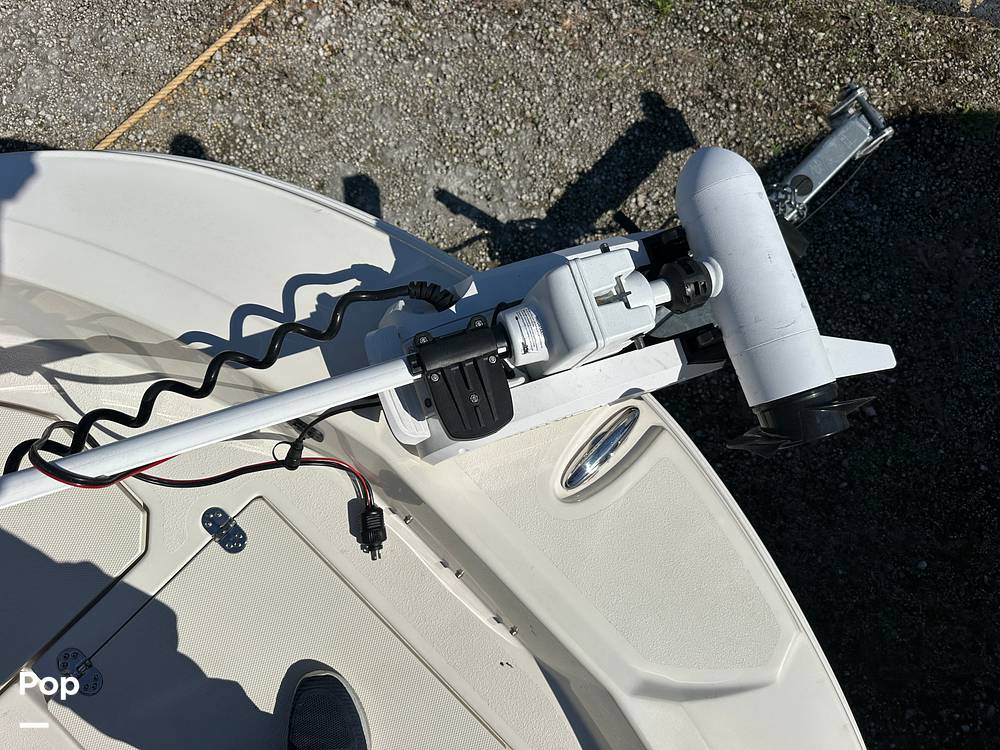 Slide: The Image of Stingray 206 CC 2021 - 100