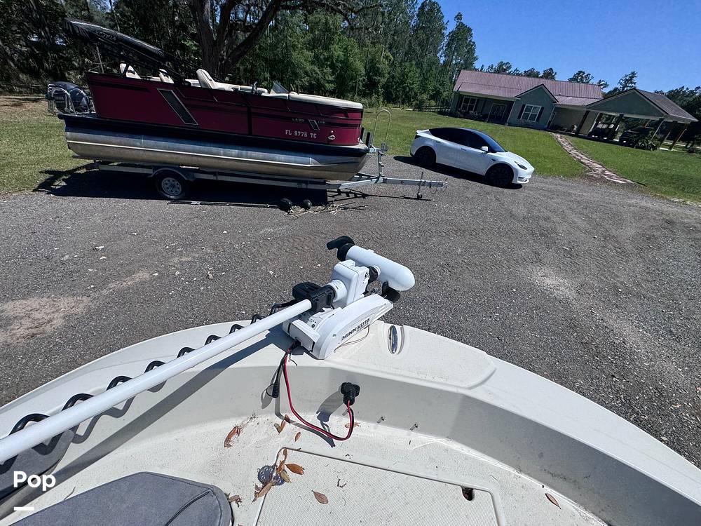 Slide: The Image of Stingray 206CC 2021 - 15359684