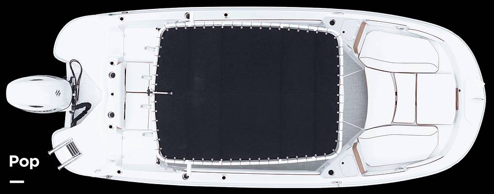 Slide: The Image of Stingray 206 CC 2021 - 15182867