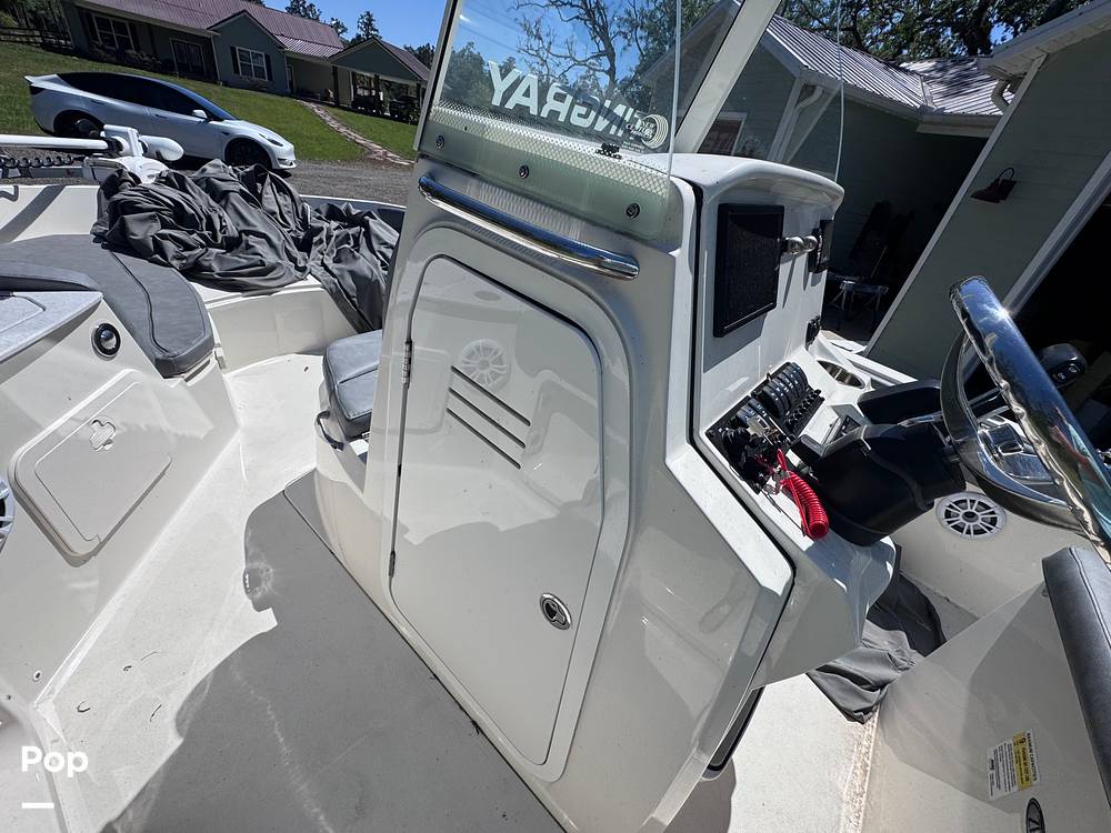 Slide: The Image of Stingray 206CC 2021 - 15359689