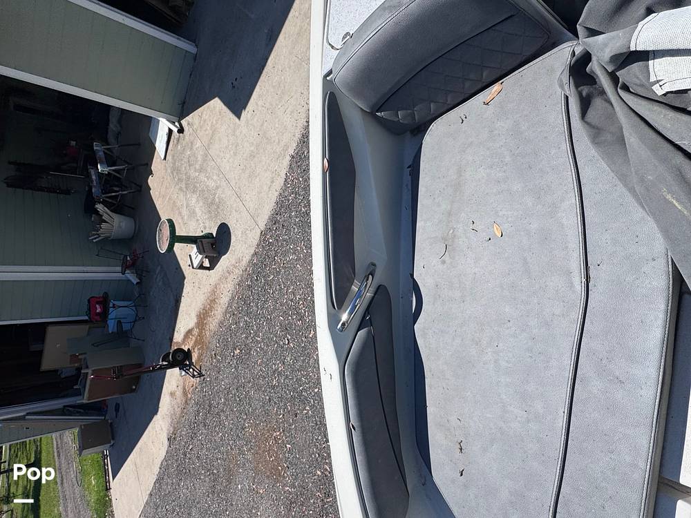 Slide: The Image of Stingray 206CC 2021 - 15359694