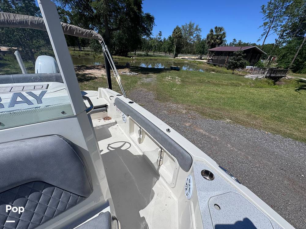 Slide: The Image of Stingray 206CC 2021 - 15359698