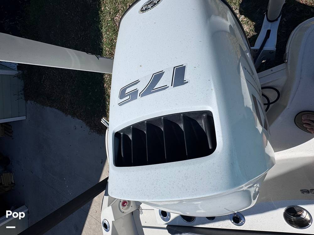 Slide: The Image of Stingray 206CC 2021 - 15359706