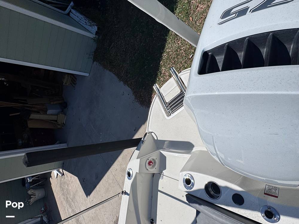 Slide: The Image of Stingray 206CC 2021 - 15359707