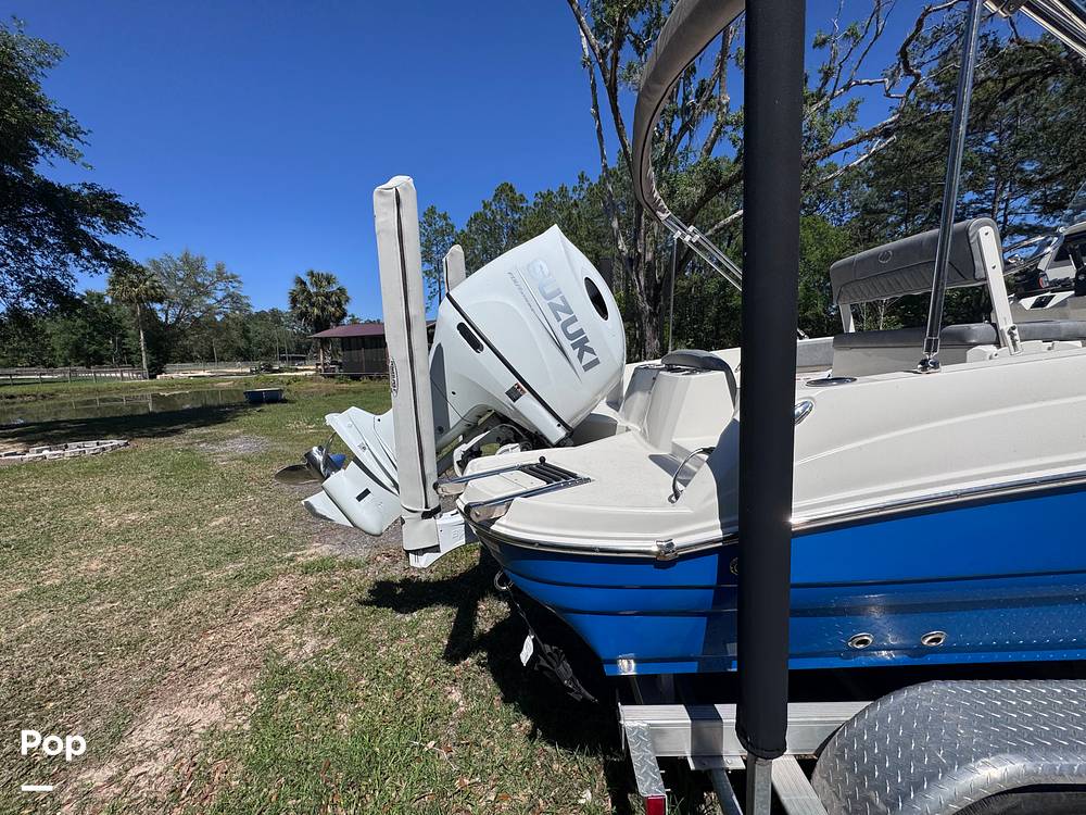 Slide: The Image of Stingray 206CC 2021 - 15359711