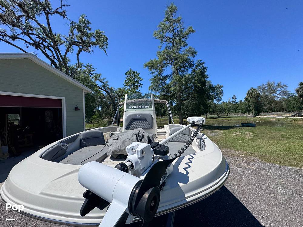 Slide: The Image of Stingray 206CC 2021 - 15359723