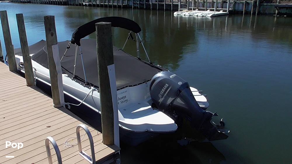 Slide: The Image of Stingray 231DC 2020 - 14802201