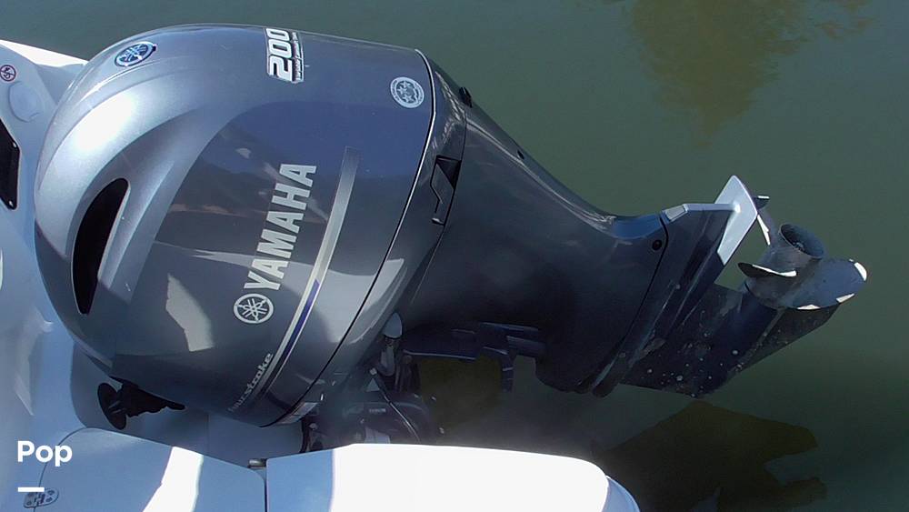 Slide: The Image of Stingray 231DC 2020 - 14802202