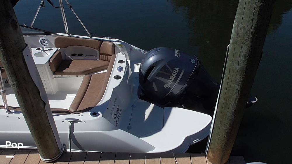 Slide: The Image of Stingray 231DC 2020 - 14802206